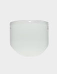 Clear Anti-Fog/Anti-Scratch Faceshield Visor | 3M WCP96