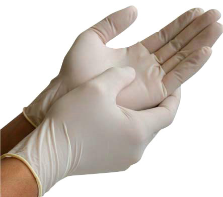 Latex Examination Gloves (Pack of 100) (SGET)